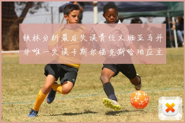 铁林分析最后失误责任文班亚马并非唯一失误卡斯尔福克斯哈珀应主动接球