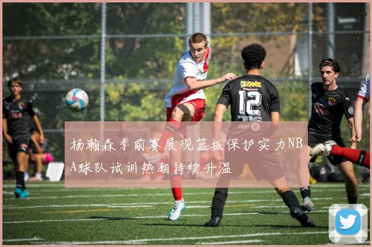 杨瀚森季前赛展现篮板保护实力NBA球队试训热潮持续升温